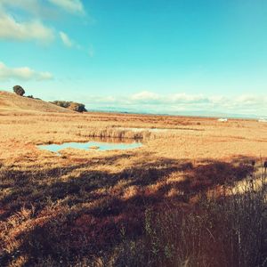 Scenic view of field against sky