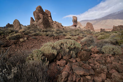 Panoramic view of rock formations in forest