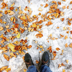 Low section of man standing on floor by autumn leaves