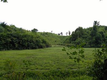 Scenic view of green landscape against clear sky