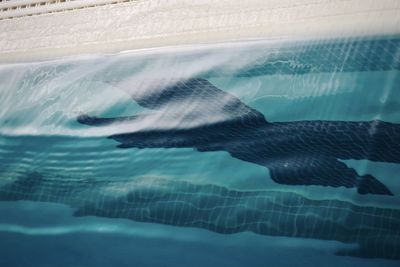 Swimming pool in sea