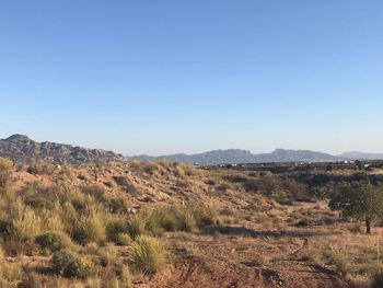 Scenic view of landscape against clear sky