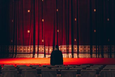 Rear view of man standing against stage in auditorium