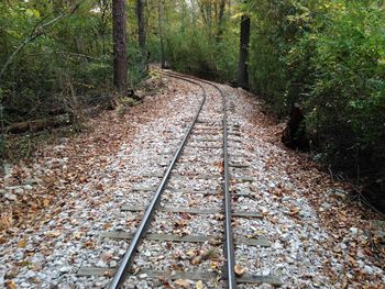 High angle view of railroad track amidst trees in forest