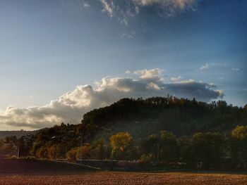 Trees on field against sky