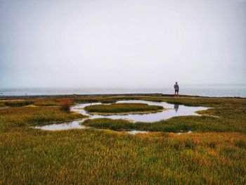 Rear view of man walking on field against clear sky