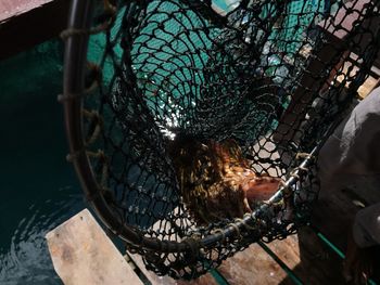 High angle view of fishing net in water