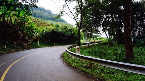 Road amidst trees against sky