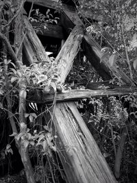 Close-up of wooden planks