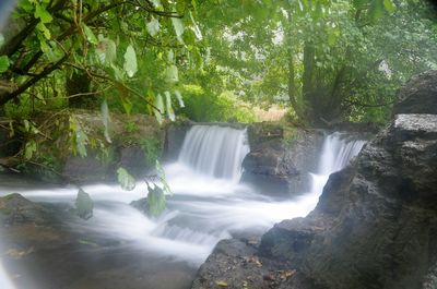 Waterfall in forest