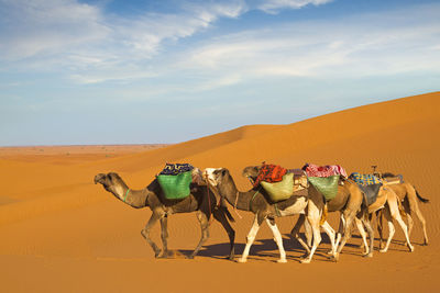 Scenic view of desert against sky