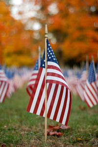 Close-up of american flag at grassy field