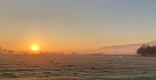 Scenic view of field against clear sky during sunset