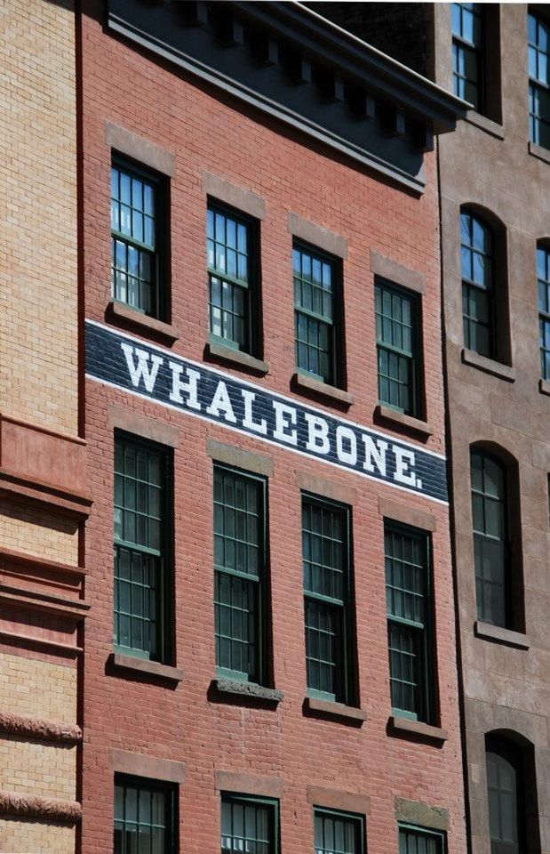 Whalebone