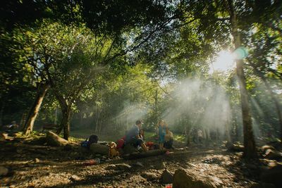 Family hiking amidst trees in forest