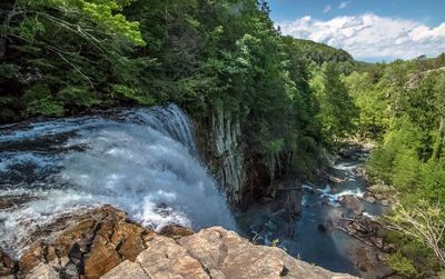 Scenic view of waterfall in forest