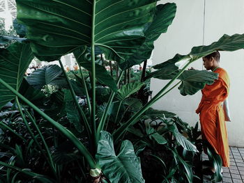 Side view of monk by plants