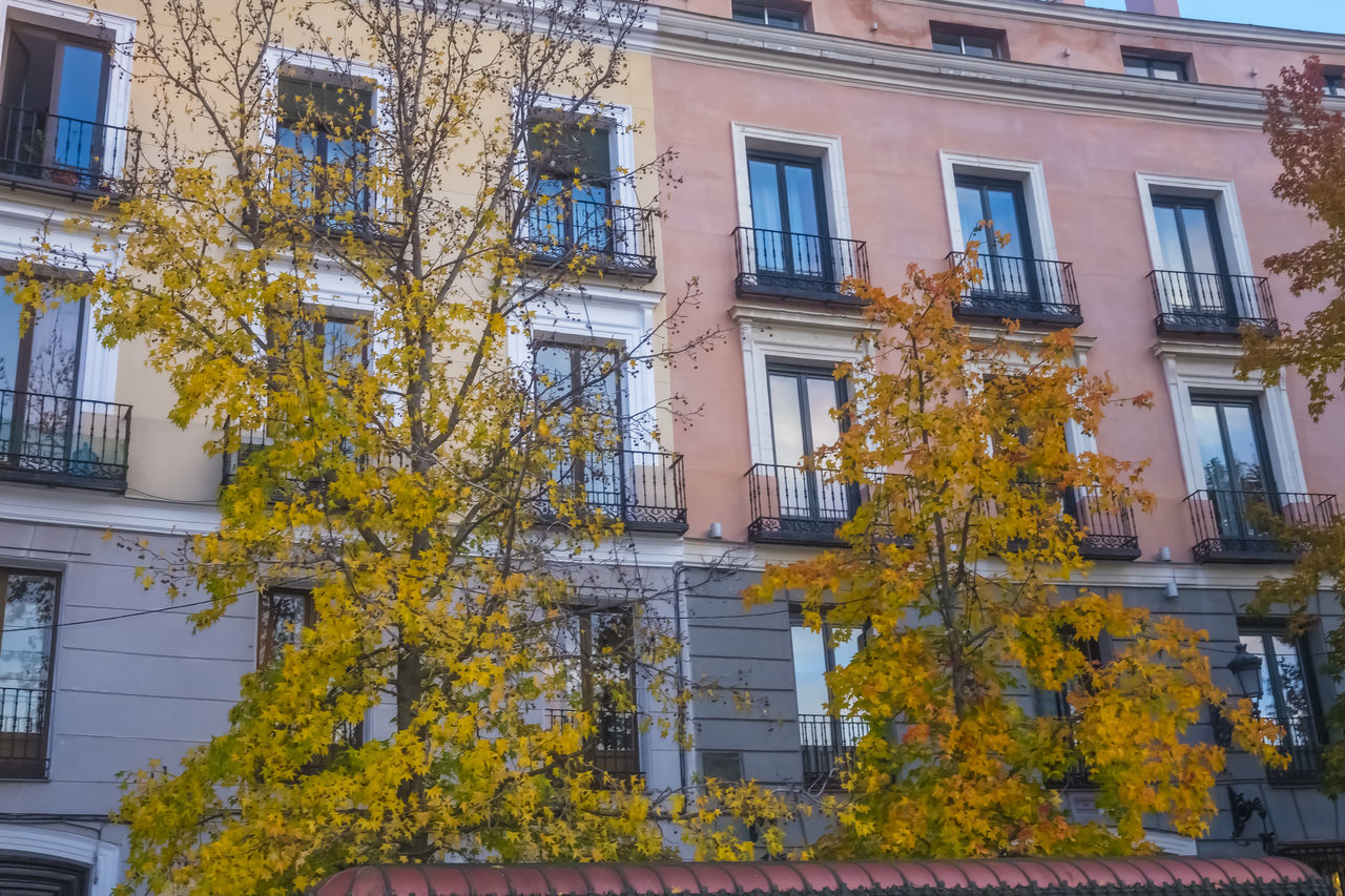 architecture, building exterior, built structure, neighbourhood, building, tree, window, plant, residential district, city, low angle view, house, nature, residential area, facade, urban area, no people, downtown, day, autumn, outdoors, yellow, apartment, growth
