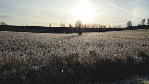 Scenic view of landscape against sky during sunset