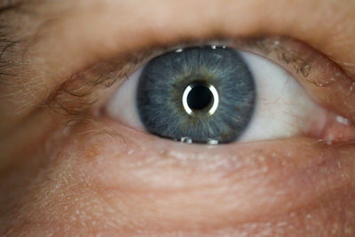 Macropicture of a blue colored eye 