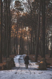 Rear view of man walking in forest