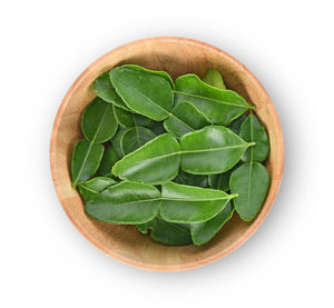 High angle view of green leaves on white background