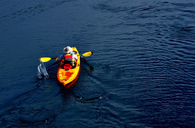 Rear view of man canoeing on river