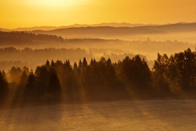 Panoramic view of trees on landscape against sky during sunset