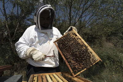 Medium shot, beekeeper wearing glove while holding wooden frame