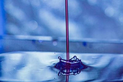 Close-up of water drop on blue container