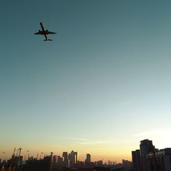 Low angle view of airplane flying in sky
