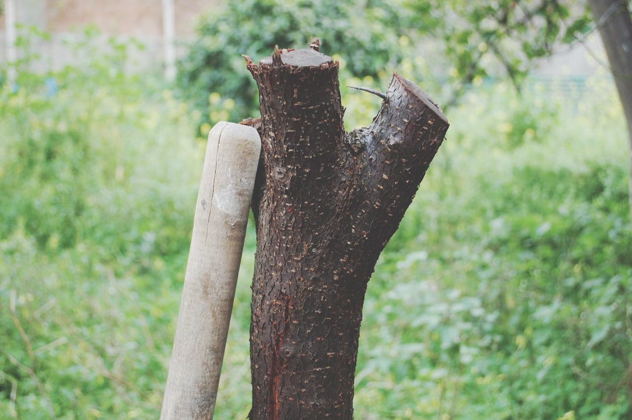 focus on foreground, close-up, wood - material, rusty, metal, old, wooden, selective focus, day, grass, outdoors, weathered, field, metallic, no people, wood, part of, wooden post, protection, textured