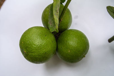 High angle view of fruits