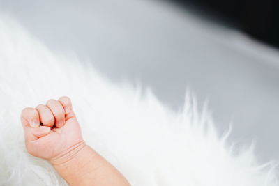 Cropped hand of baby on bed