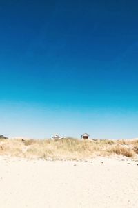 Scenic view of desert against clear blue sky