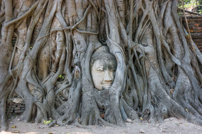 View of buddha statue