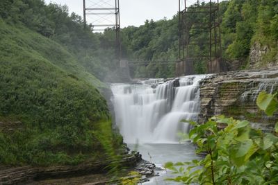 Scenic view of waterfall in forest