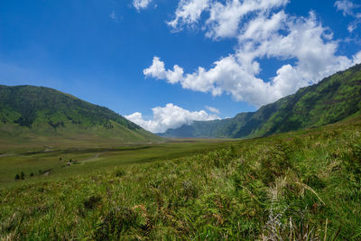 Scenic view of landscape against sky