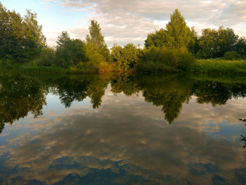 Reflection of trees in lake against sky