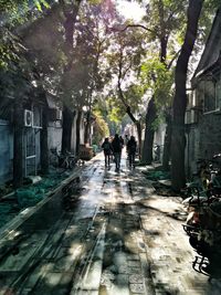 People walking amidst trees and buildings in city