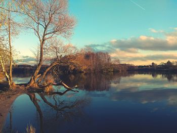 Reflection of trees in lake against sky