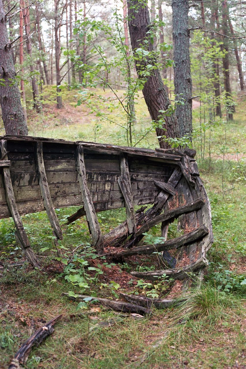 OLD ABANDONED TRUCK ON SUNNY DAY