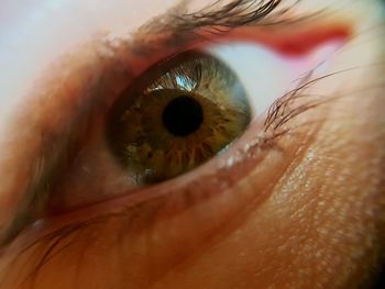 Extreme close-up of human eye