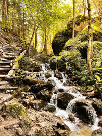 Stream flowing through rocks in forest