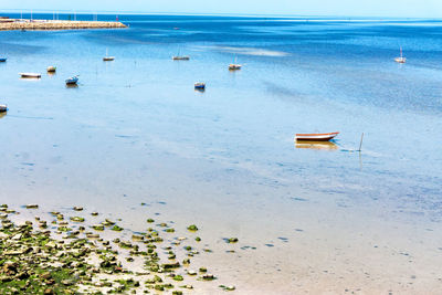 High angle view of sailboats moored on beach against sky