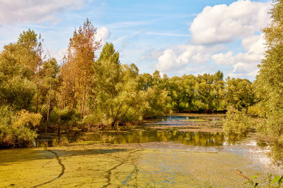 Near xanten is the bislicher insel one of the few remaining alluvial landscapes in germany.