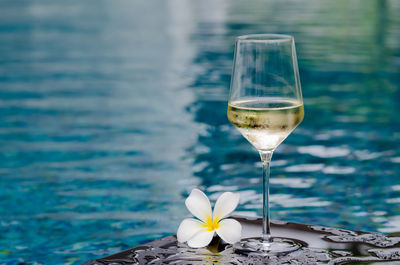 A glass of white wine with frangipani flower on swimming pool. holiday and summer drink concept.
