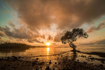 Scenic view of sea against sky during sunset