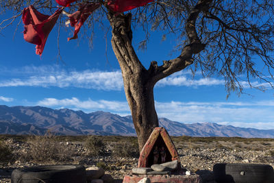 Makeshift shrine under a tree on the mountain against the sky