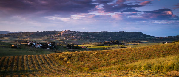 Scenic view of agricultural field against sky